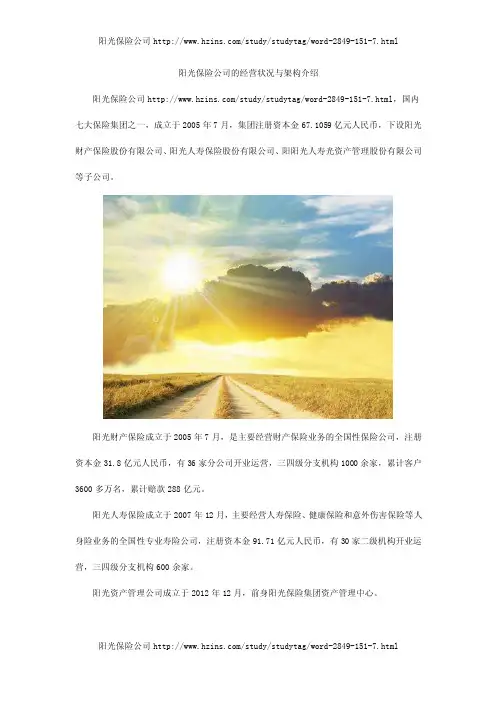 阳光保险公司的经营状况与架构介绍