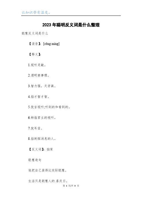 2023年聪明反义词是什么整理