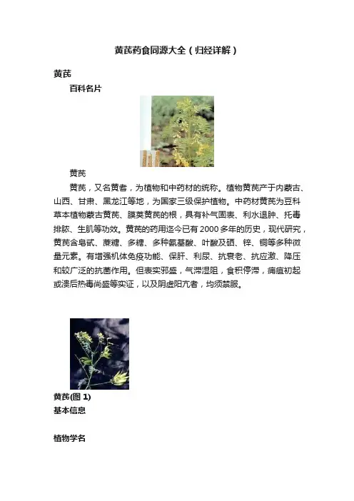 黄芪药食同源大全（归经详解）