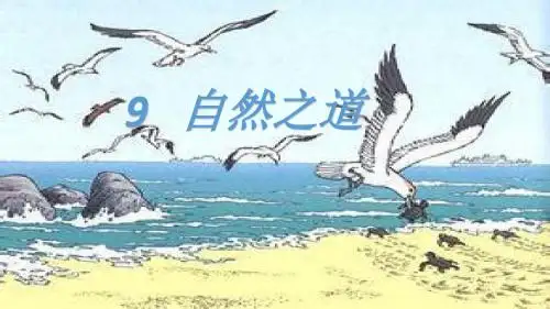语文人教版四年级下册自然之道