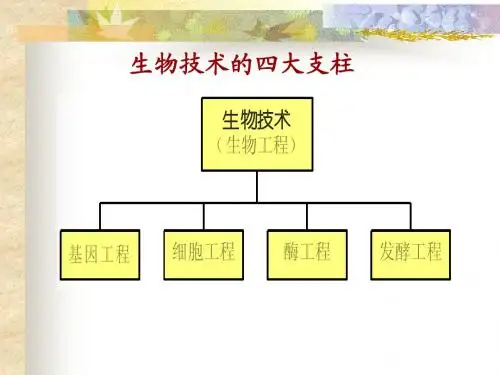 酶工程 第一章绪论修改