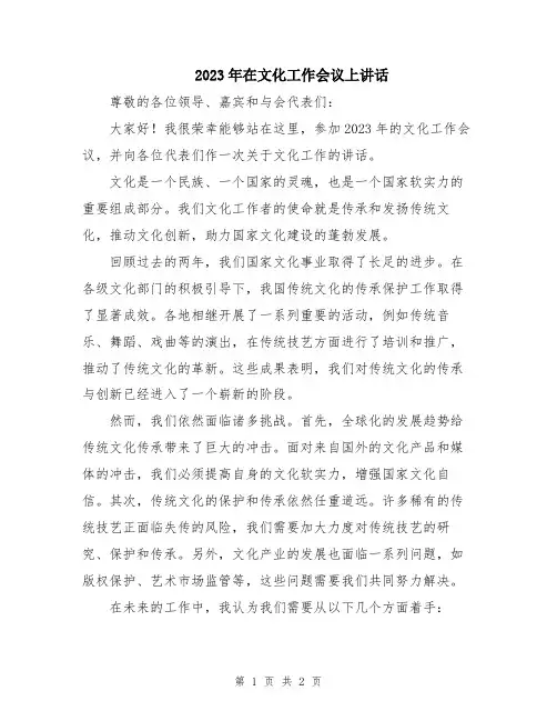 2023年在文化工作会议上讲话
