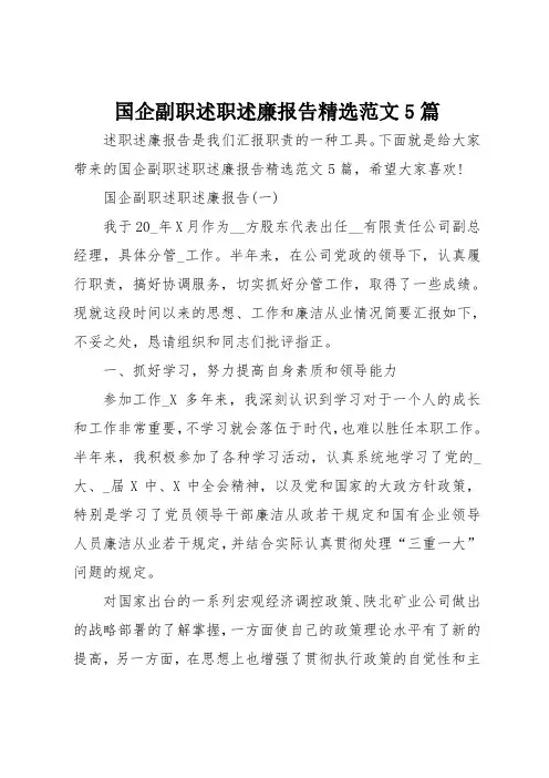 国企副职述职述廉报告精选范文5篇