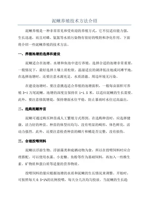 泥鳅养殖技术方法介绍