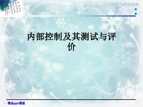 内部控制及其测试与评价 