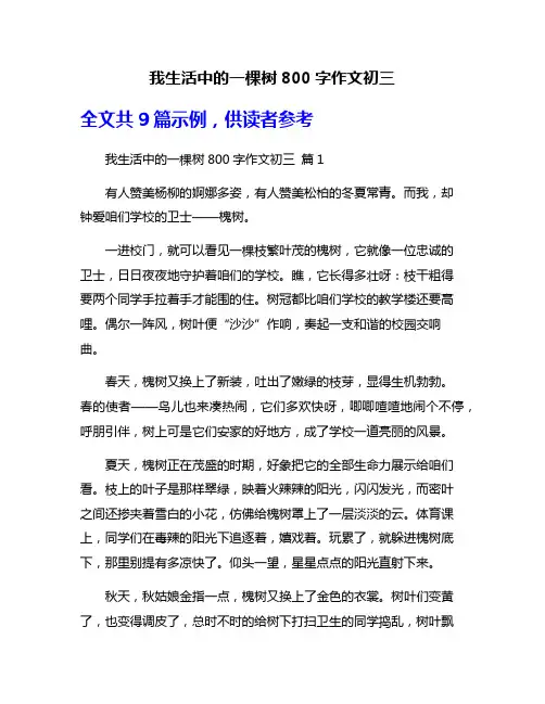 我生活中的一棵树800字作文初三