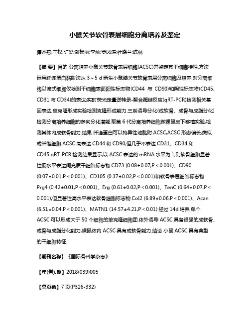 小鼠关节软骨表层细胞分离培养及鉴定