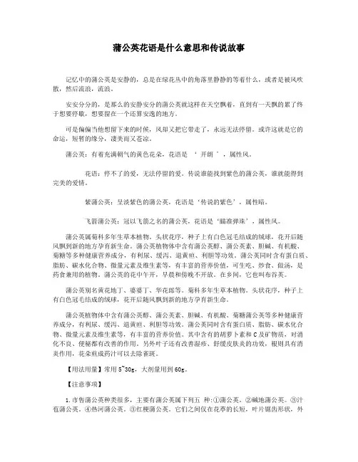 蒲公英花语是什么意思和传说故事