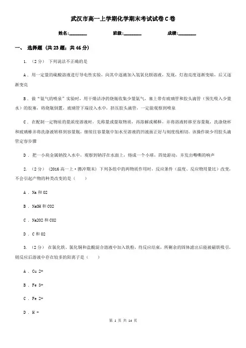 武汉市高一上学期化学期末考试试卷C卷
