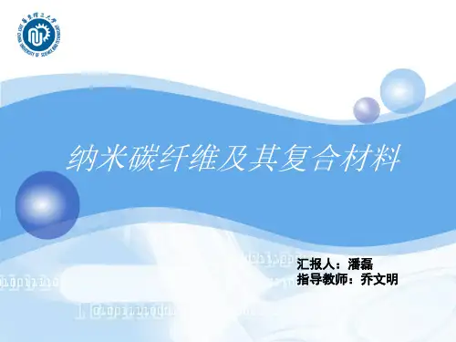 纳米碳纤维及其复合材料