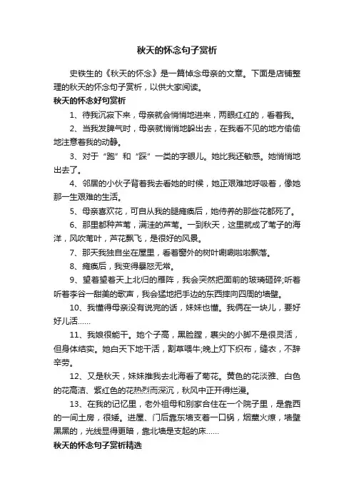 秋天的怀念句子赏析
