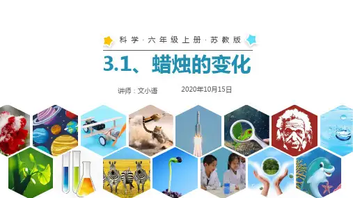 苏教版科学六年级上册课件3.1蜡烛的变化PPT(附教案)