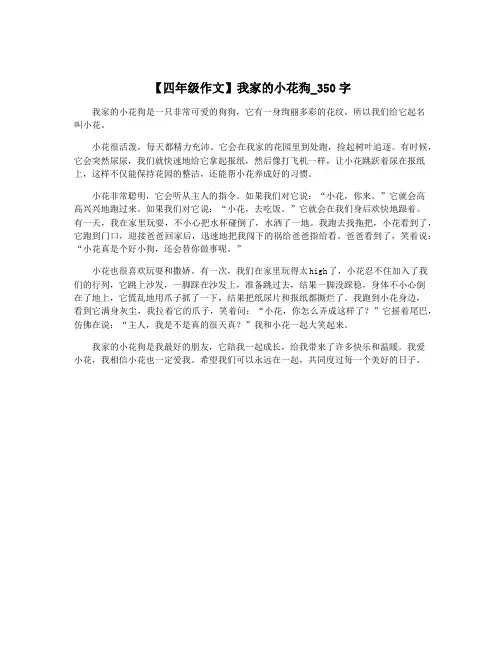 【四年级作文】我家的小花狗_350字