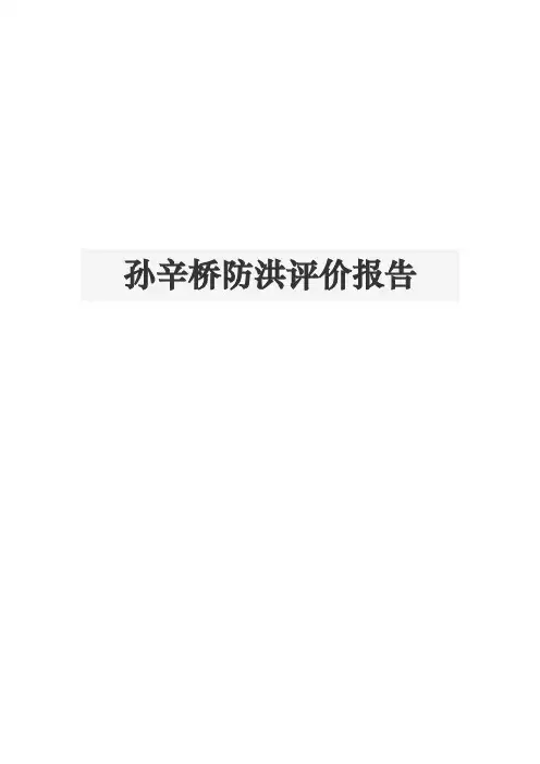 孙辛桥防洪评价报告