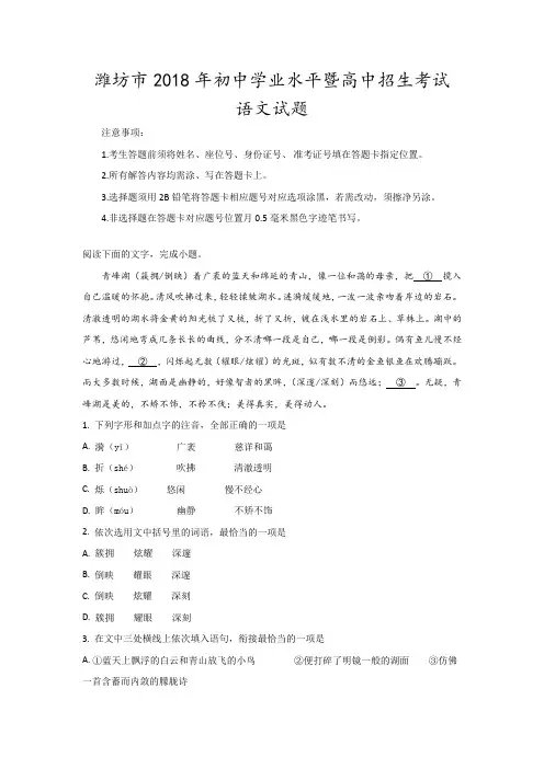 2018年山东省潍坊市中考语文试题及参考解析