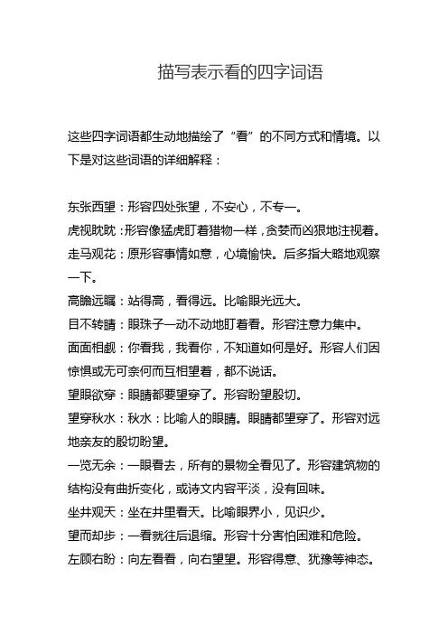描写表示看的四字词语