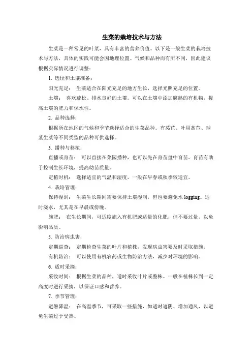 生菜的栽培技术与方法