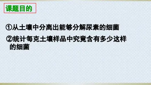 高二理化生土壤中分解尿素细菌分离与计数.pptx