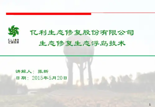 生态修复生态浮岛技术