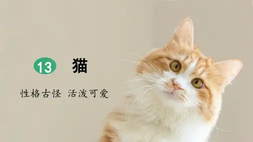 部编版四年级语文下册第13课《猫》优秀课件(统编)