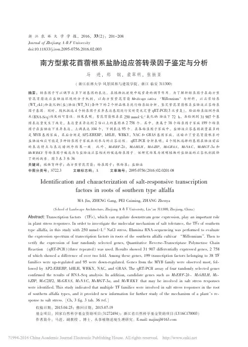 南方型紫花苜蓿根系盐胁迫应答转录因子鉴定与分析