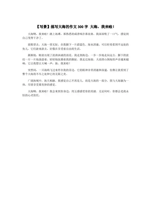【写景】描写大海的作文300字 大海,我来啦!