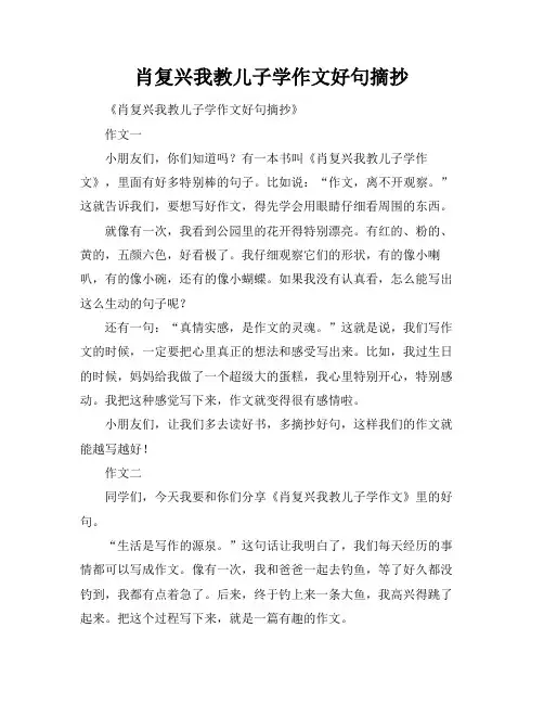 肖复兴我教儿子学作文好句摘抄