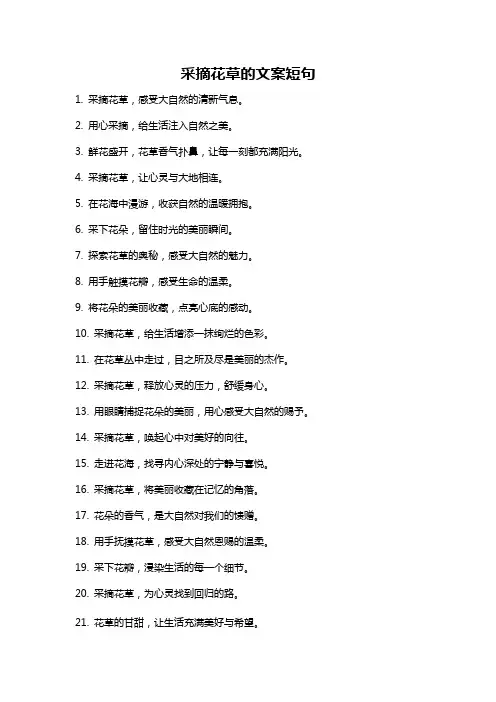 采摘花草的文案短句