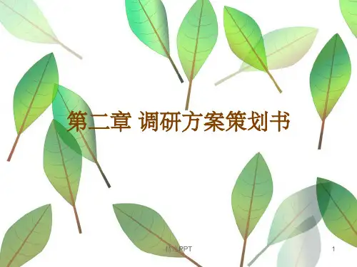 《调研计划书的撰写》PPT课件