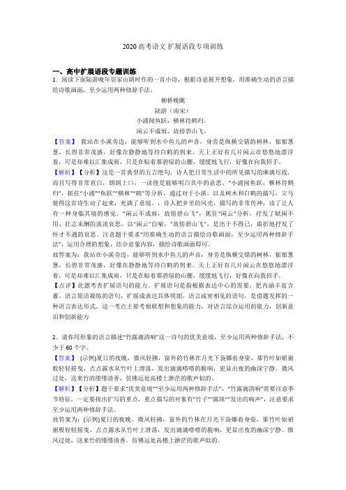 2020高考语文 扩展语段专项训练