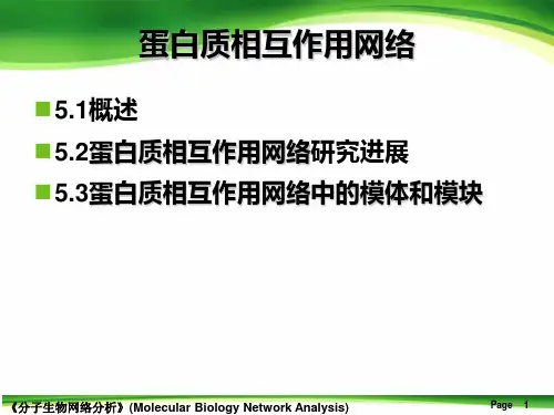 蛋白质相互作用网络解析