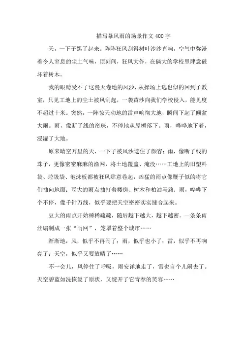 描写暴风雨的场景作文400字