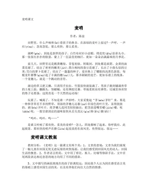 麦哨课文-专业文档!