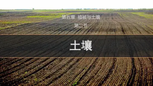 地理人教版(2019)必修一5.2土壤(共27张ppt)