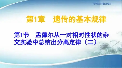 高中生物浙科版2019必修二孟德尔从一对相对性状的杂交实验中总结出分离定律