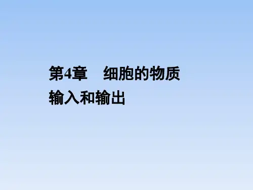 人教课标版高中生物必修1《细胞的物质输入和输出》复习课件