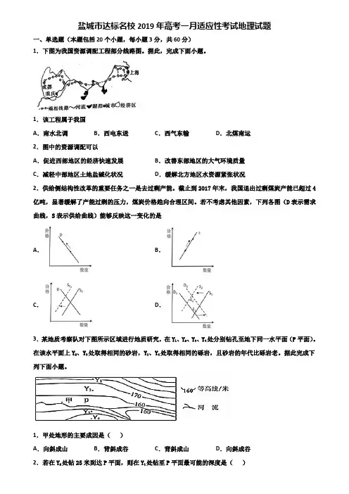 盐城市达标名校2019年高考一月适应性考试地理试题含解析