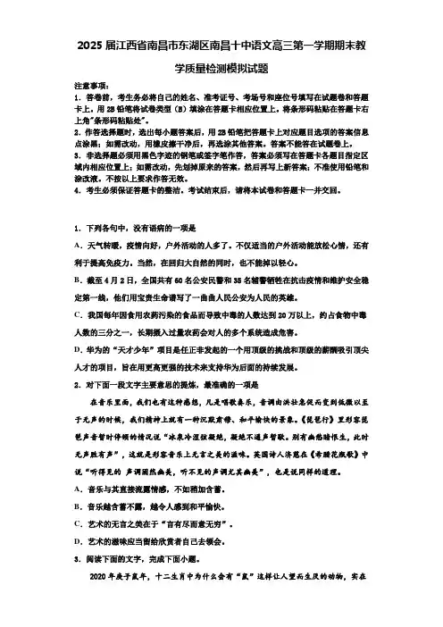 2025届江西省南昌市东湖区南昌十中语文高三第一学期期末教学质量检测模拟试题含解析