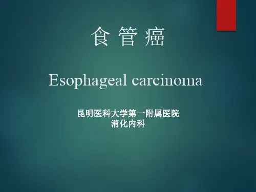 食管癌PPT课件