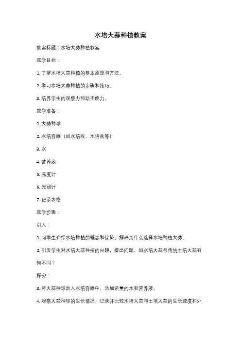 水培大蒜种植教案