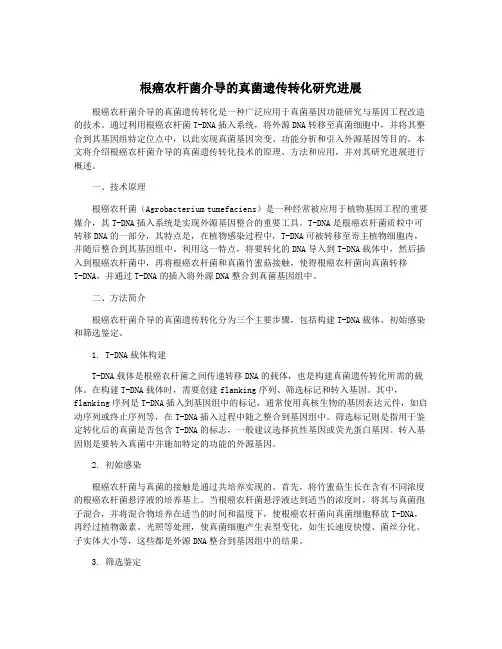 根癌农杆菌介导的真菌遗传转化研究进展