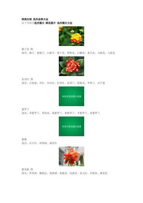 花的种类介绍 花卉品种大全 鲜花图片 花卉图片大全