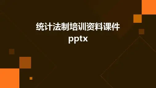 统计法制培训资料课件pptx(2024)