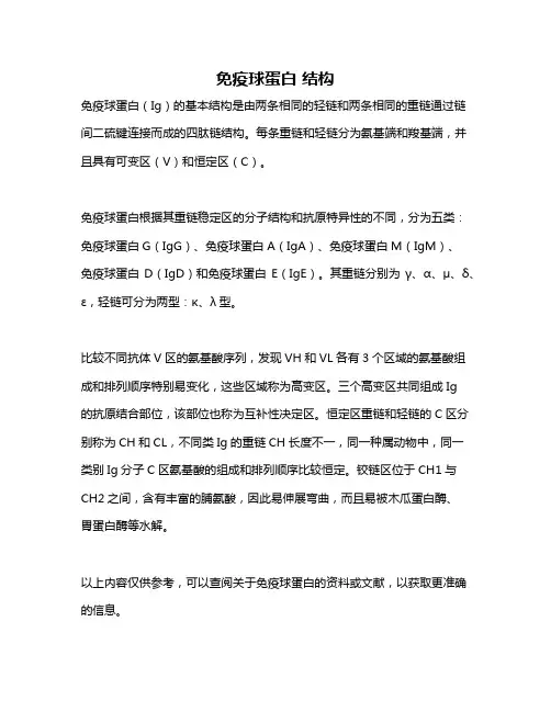 免疫球蛋白 结构