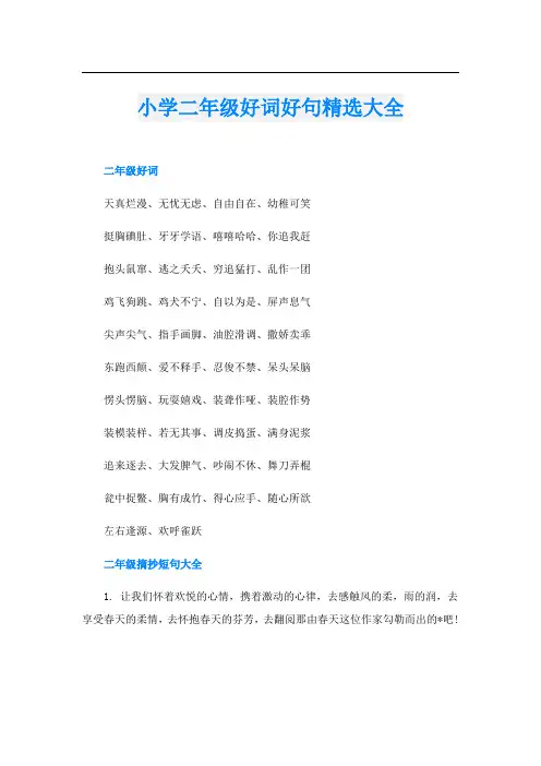 小学二年级好词好句精选大全