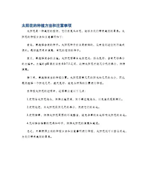 太阳花的种植方法和注意事项