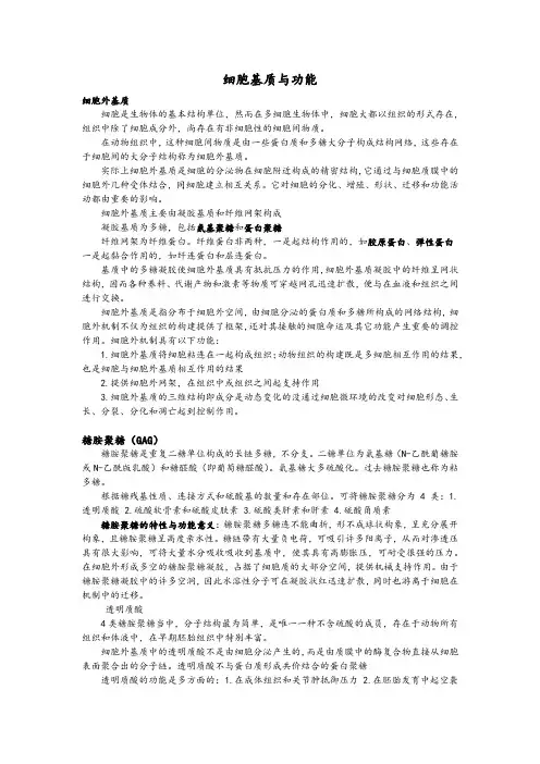 细胞生物学细胞基质与功能