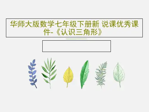 华师大版数学七年级下册新 说课优秀课件-《认识三角形》28页PPT