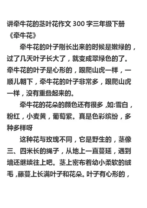 讲牵牛花的茎叶花作文300字三年级下册