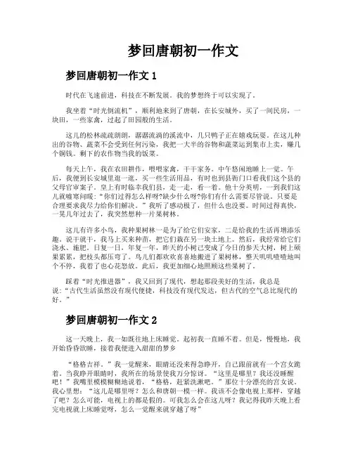 梦回唐朝初一作文